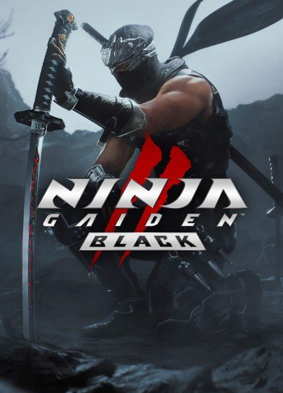 NINJA GAIDEN 2 Black [v 1.0.5.0] (2025) RePack от Decepticon